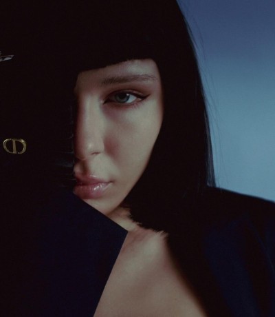 Влада, Г. Гусь Хрустальный